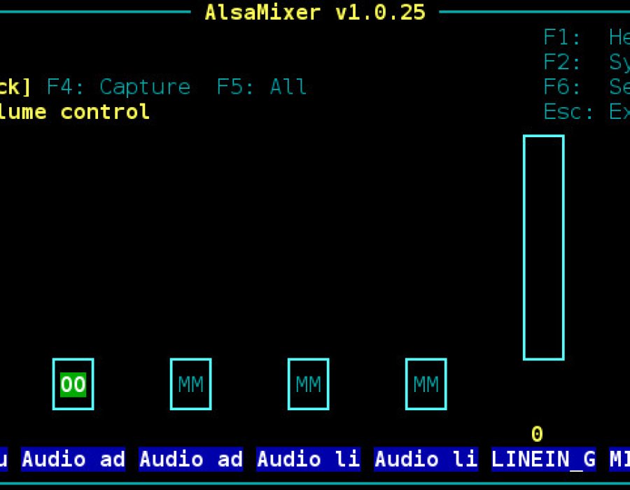 alsa-mixer-main-100.jpg