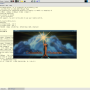mplayer-console-run.png