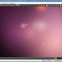 ubuntu1004-inst-vbox-21.png
